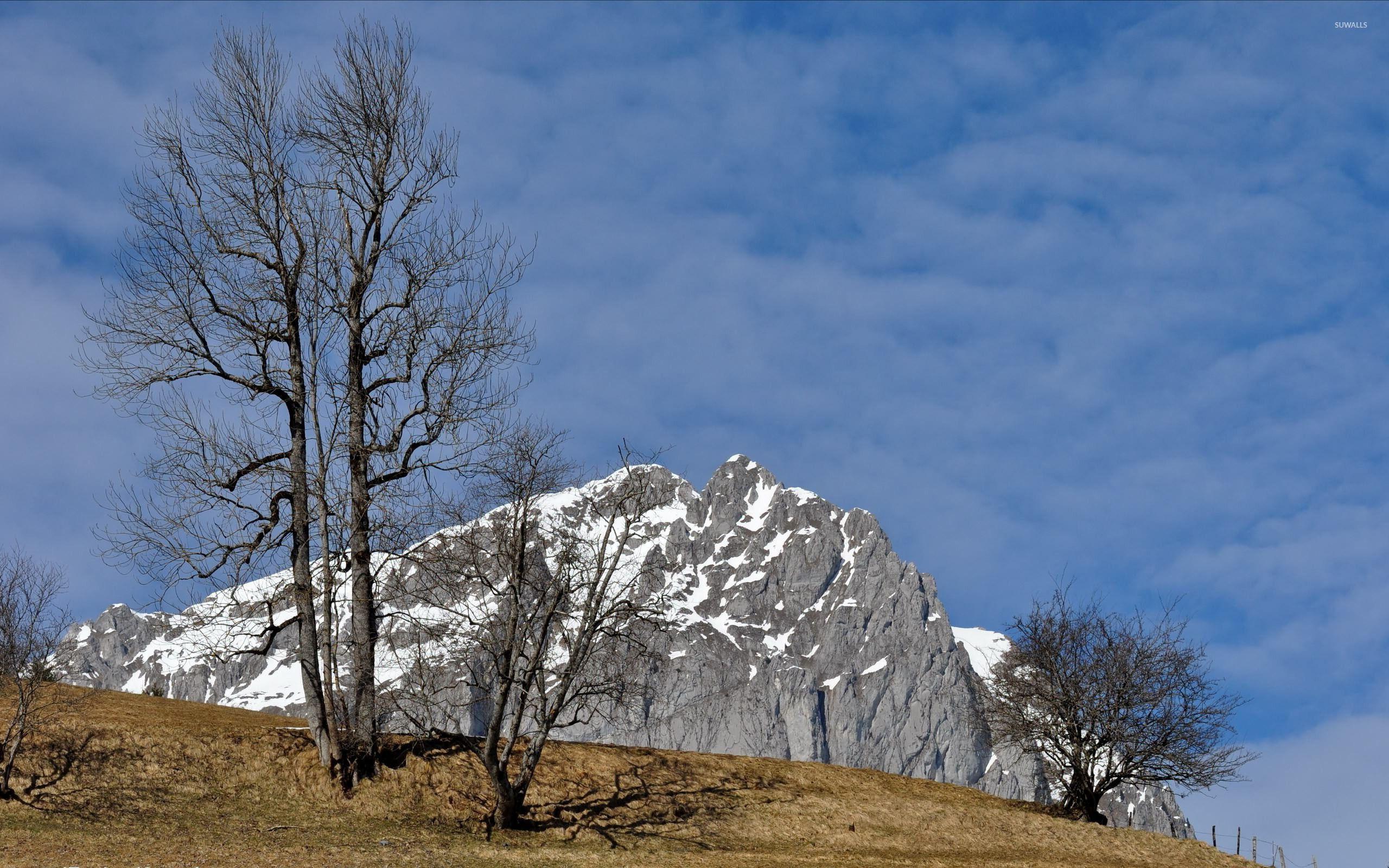 2560x1600 Snow on rocky mountain hill wallpaper wallpaper