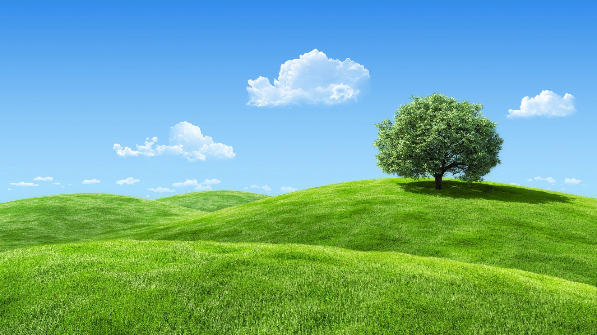 Grass Hill Wallpapers - Top Free Grass Hill Backgrounds - WallpaperAccess
