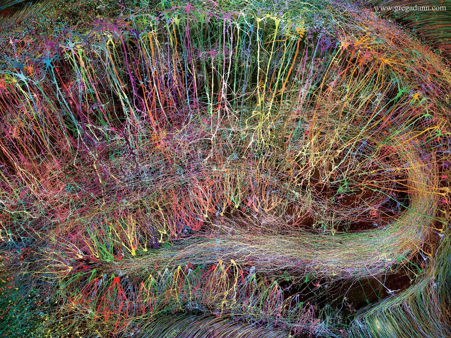 1500x1125 GREG DUNN NEURO ART