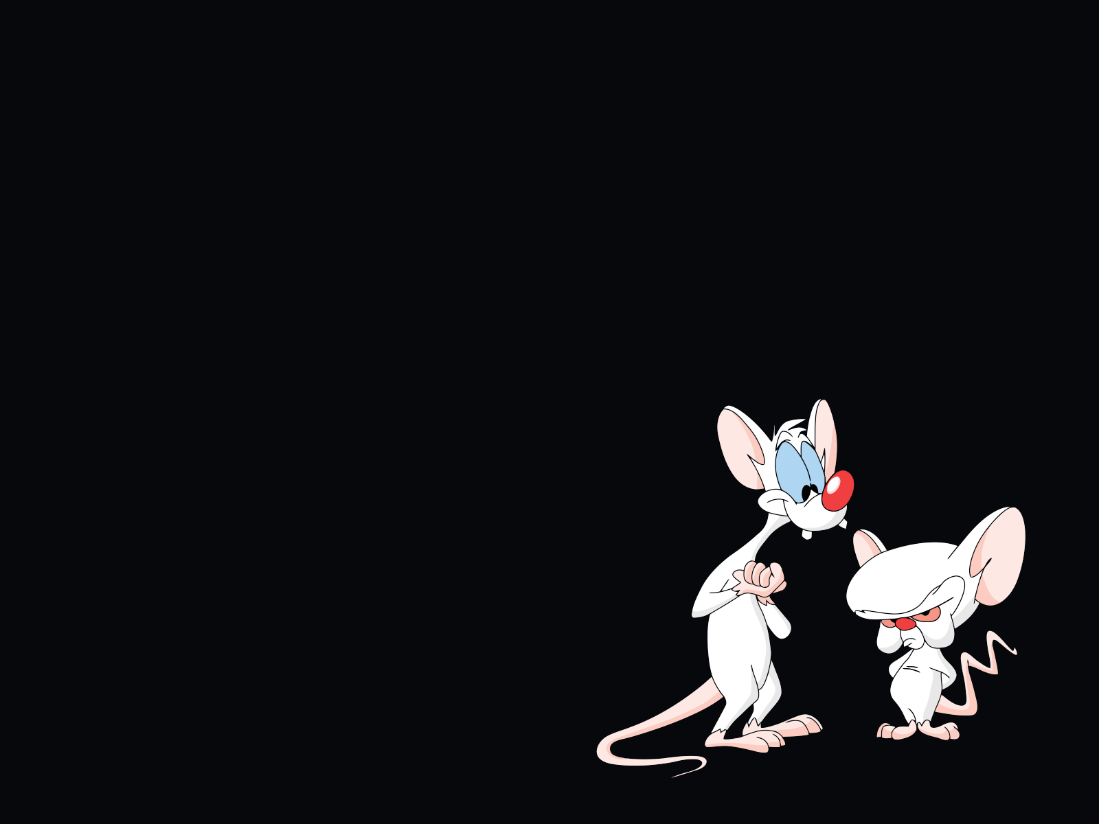 1600x1200 Pinky and the Brain Wallpaper