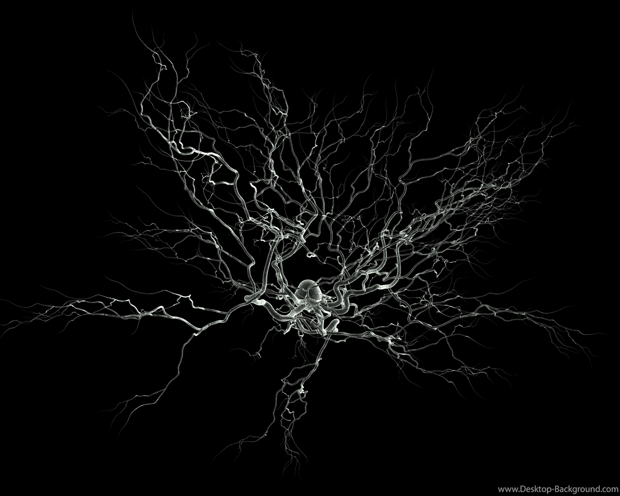 1280x1024 Neuro Wallpaper