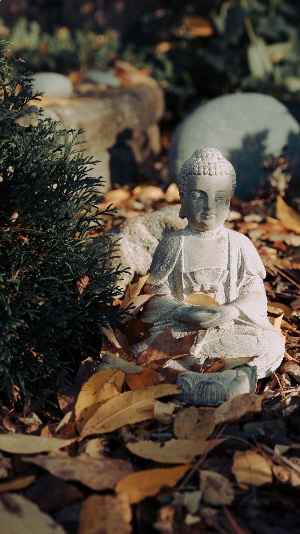 1000x1777 Buddha Meditation Picture. Download Free Image