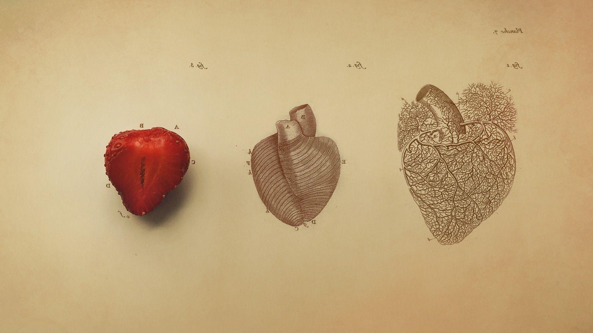 1920x1080 Medicine Wallpaper (immagini)