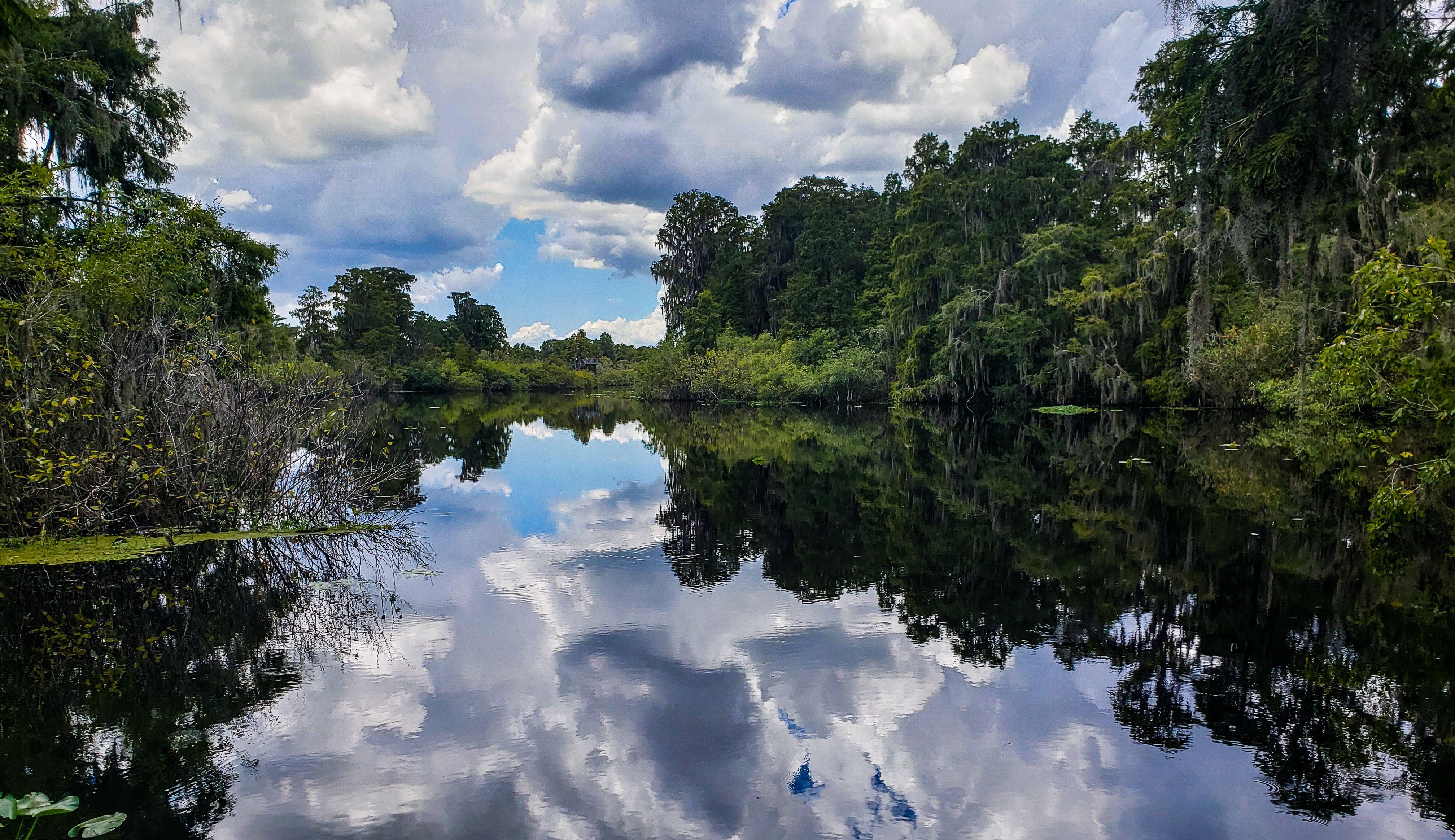 4032x2328 Lettuce Lake, Tampa, Florida (Photo credit to Jeffrey Hamilton) [4032 x 2328]