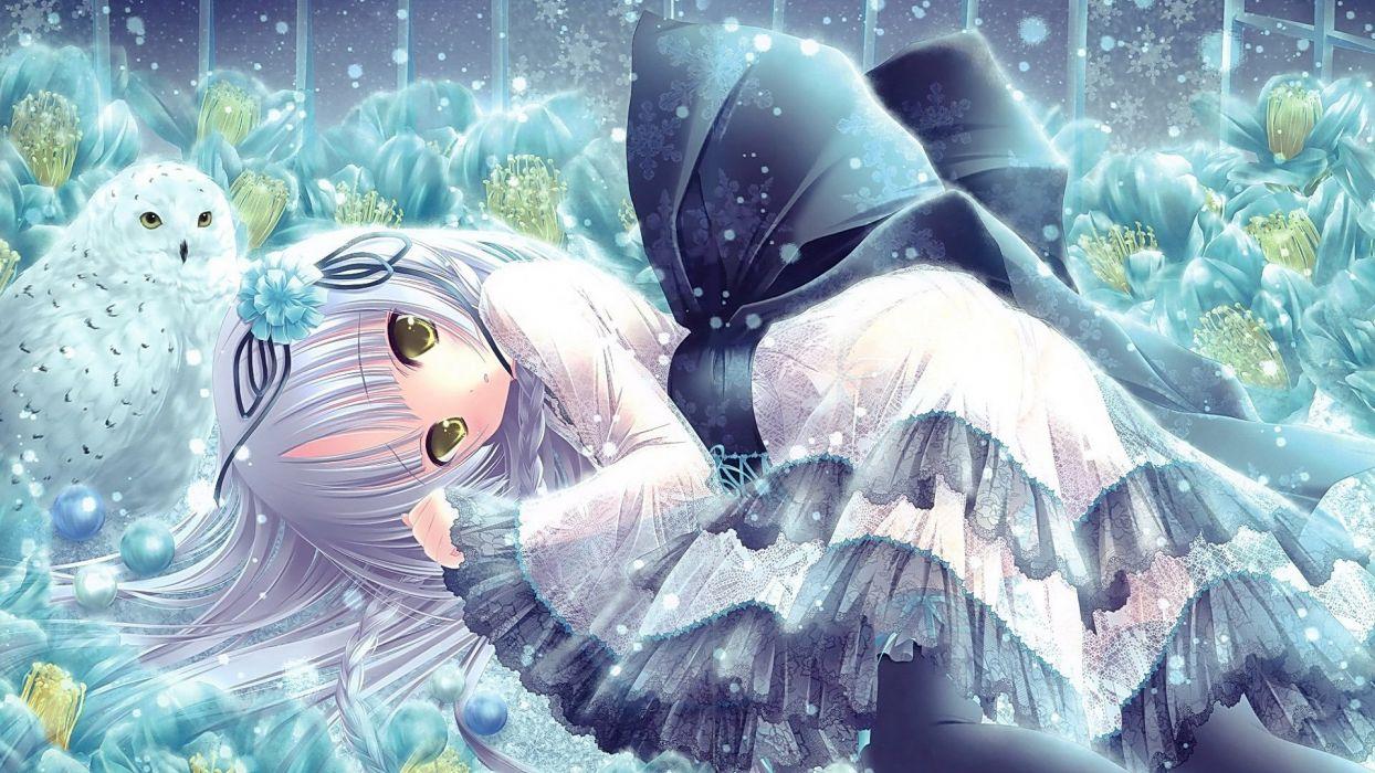 1244x700 Anime girl with white hair yellow eyes winter with owl white dress wallpaperx1080