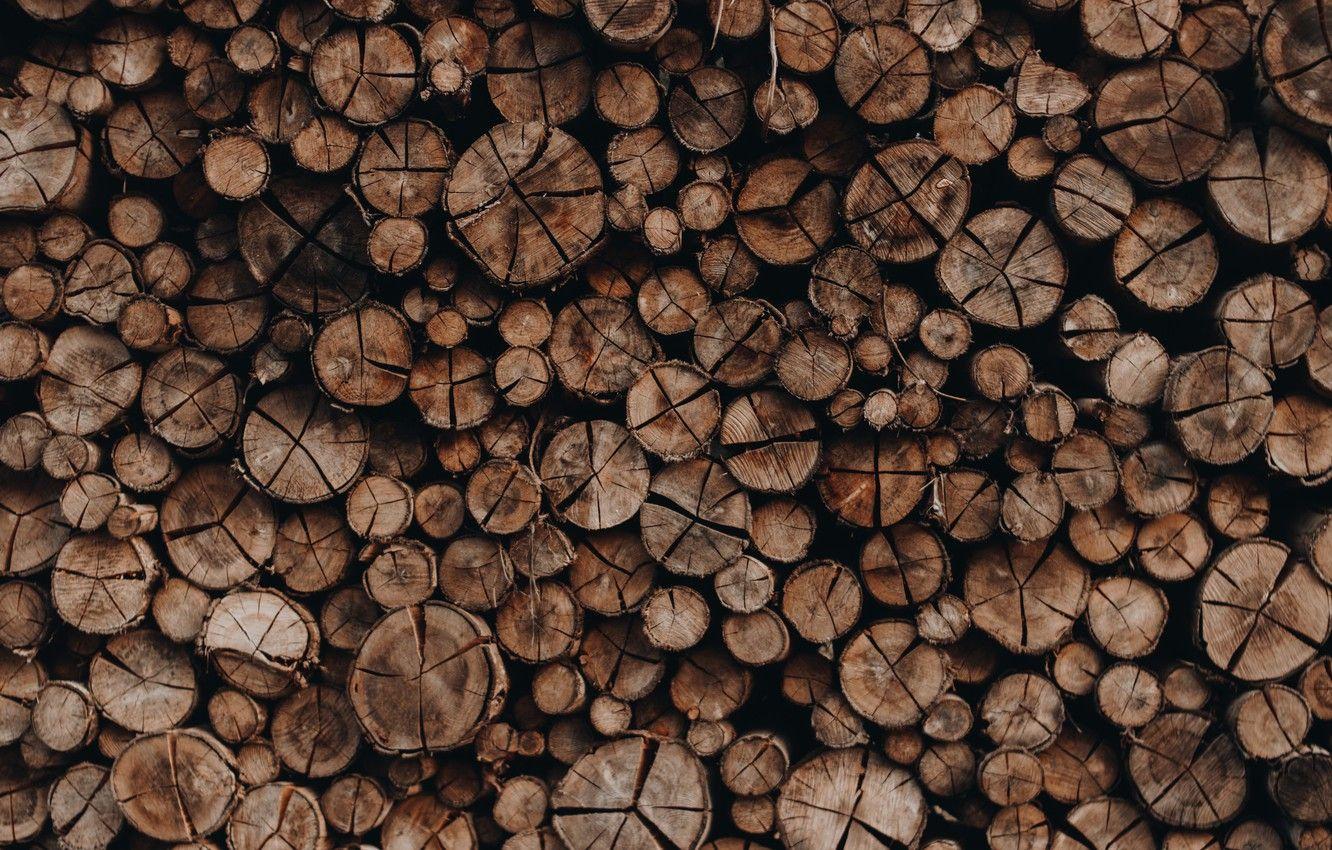 Timber Wallpapers - Top Free Timber Backgrounds - WallpaperAccess