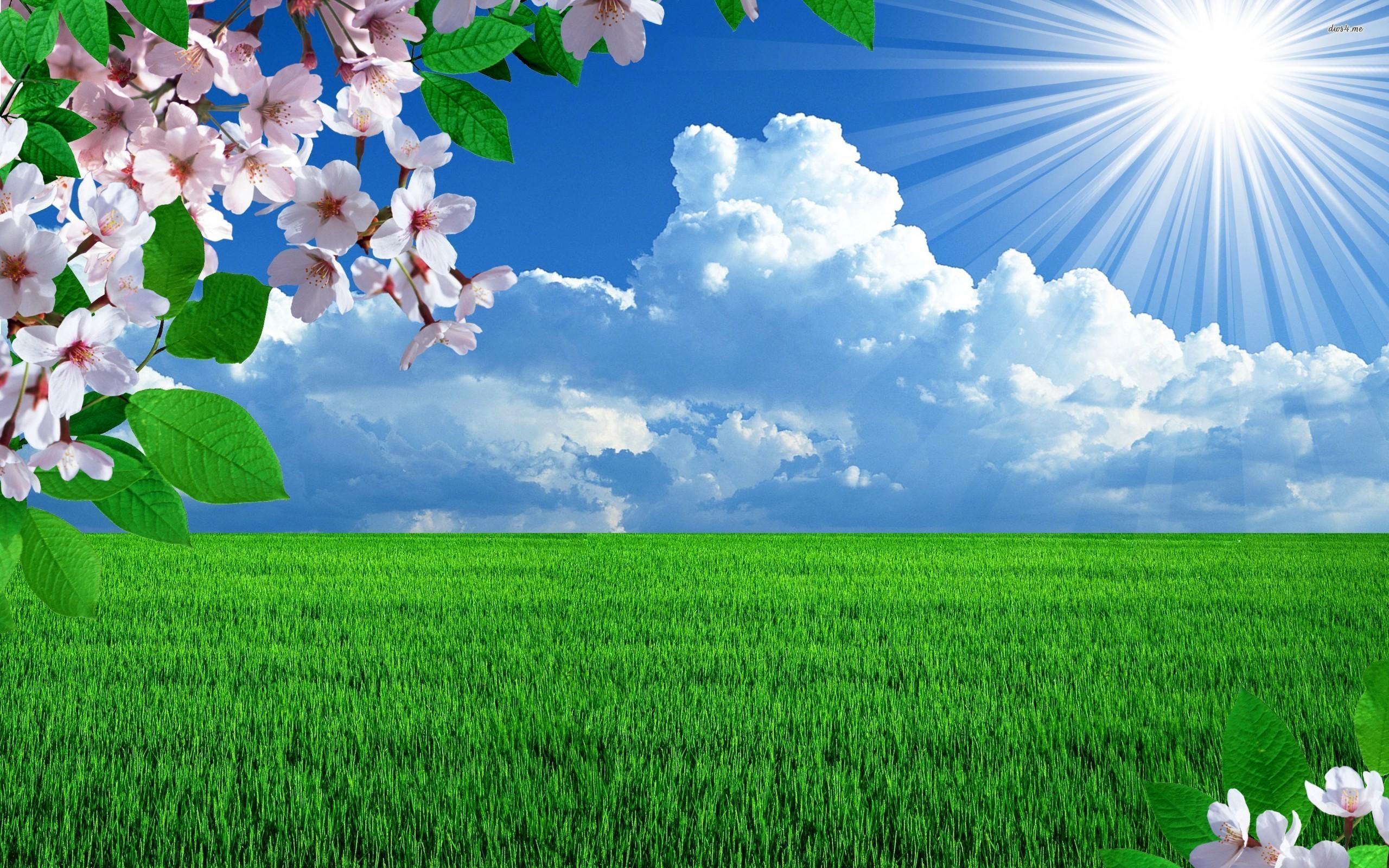 2560x1600 Sunny Spring Day Wallpaper