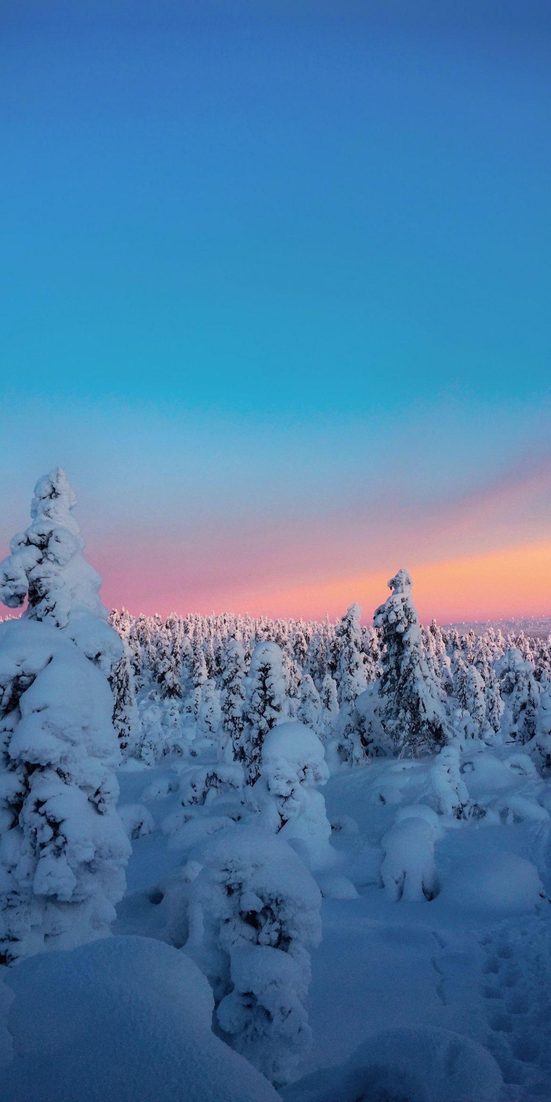 1080x2160 Winter, sunset, twilight, trees, nature, 1080x2160 wallpaper. Winter wallpaper hd, Winter wallpaper, iPhone wallpaper winter