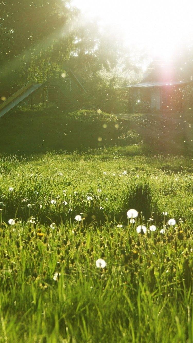 750x1334 Download Sunny Spring Day Wallpaper, HD Background Download