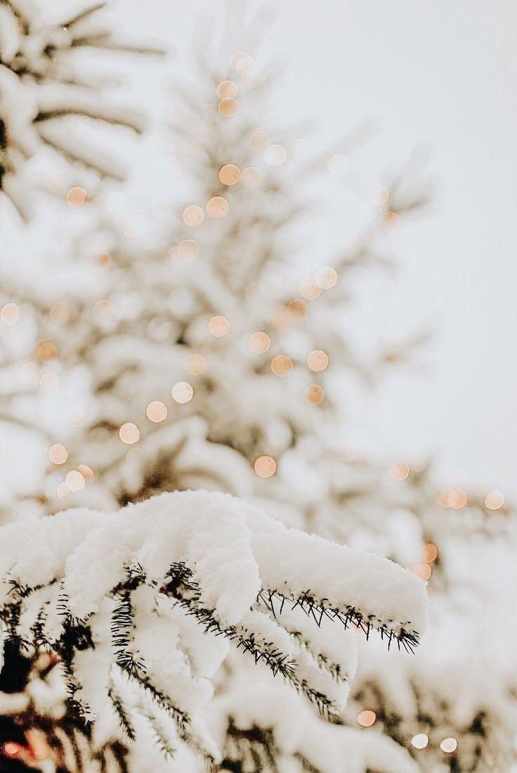 736x1099 Christmas. Christmas phone wallpaper, Winter wallpaper, Holiday wallpaper