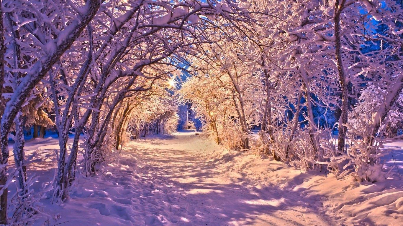 1366x768 WpNature.com Winter Sunset Snow Sunsets Nature Trees Landscape Desktop Background Free. Winter landscape, Winter wallpaper, Winter wallpaper hd