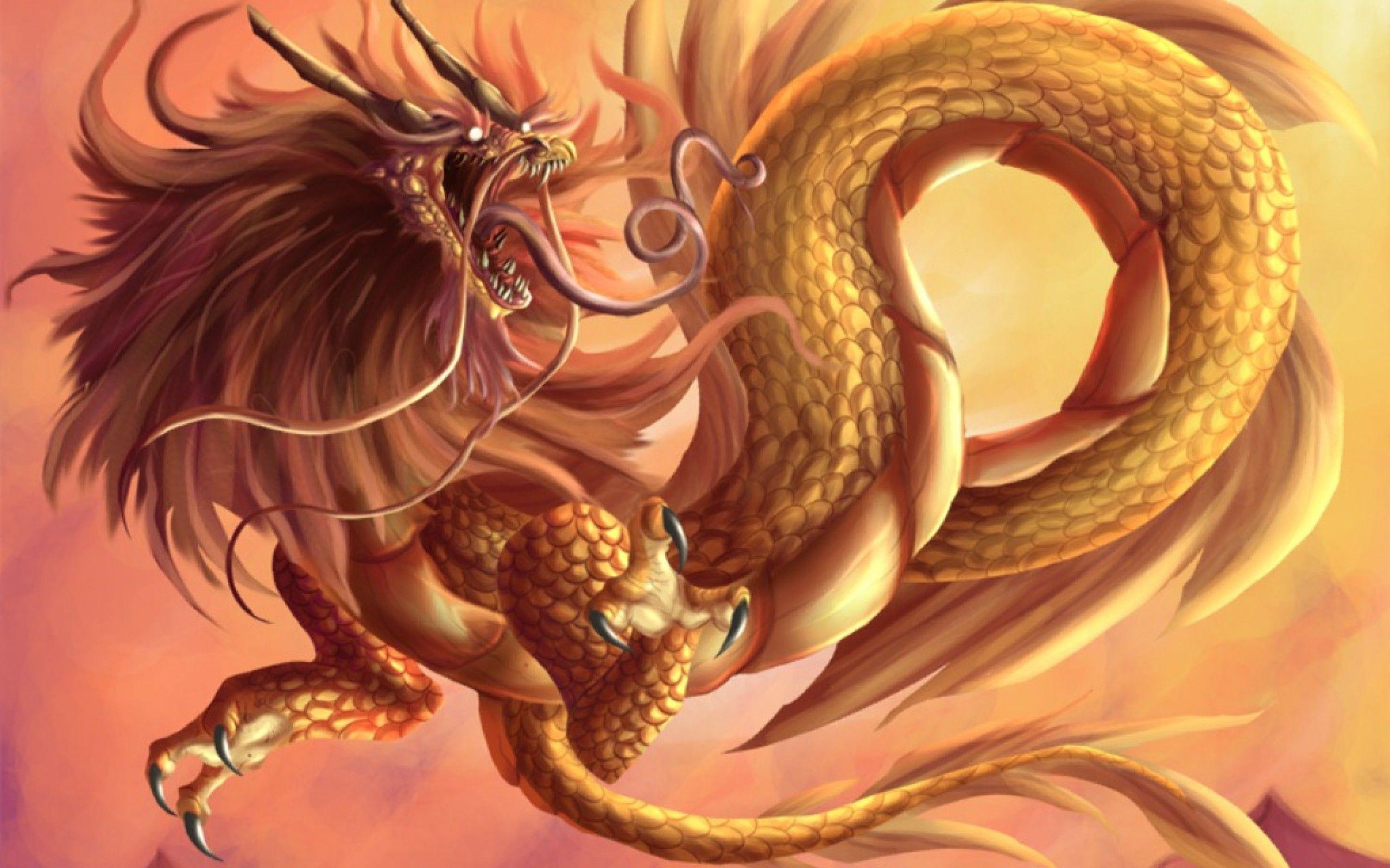 2560x1600 Chinese Dragon 3D Wallpaper, Adorable 44 Chinese Dragon 3D