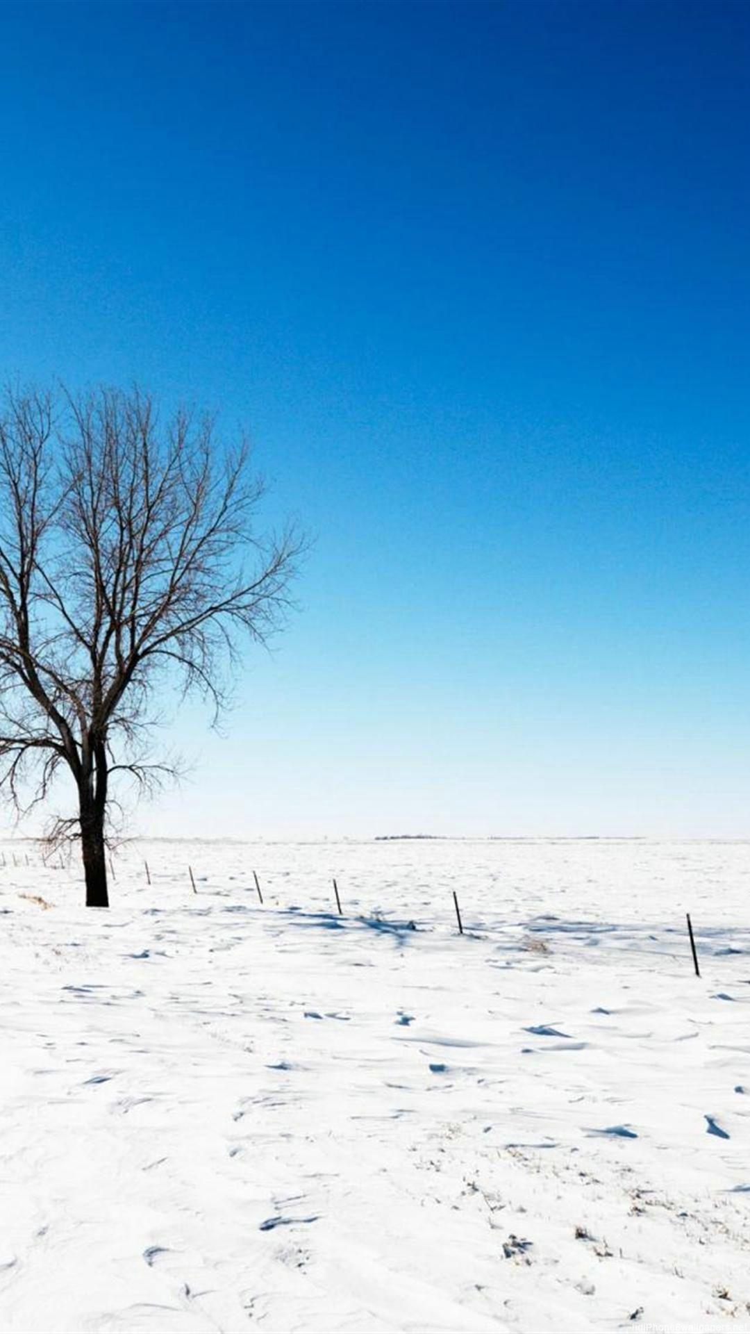 1080x1920 Free Winter Wallpaper for iPhone Download. Winter wallpaper, Free winter wallpaper, White background wallpaper