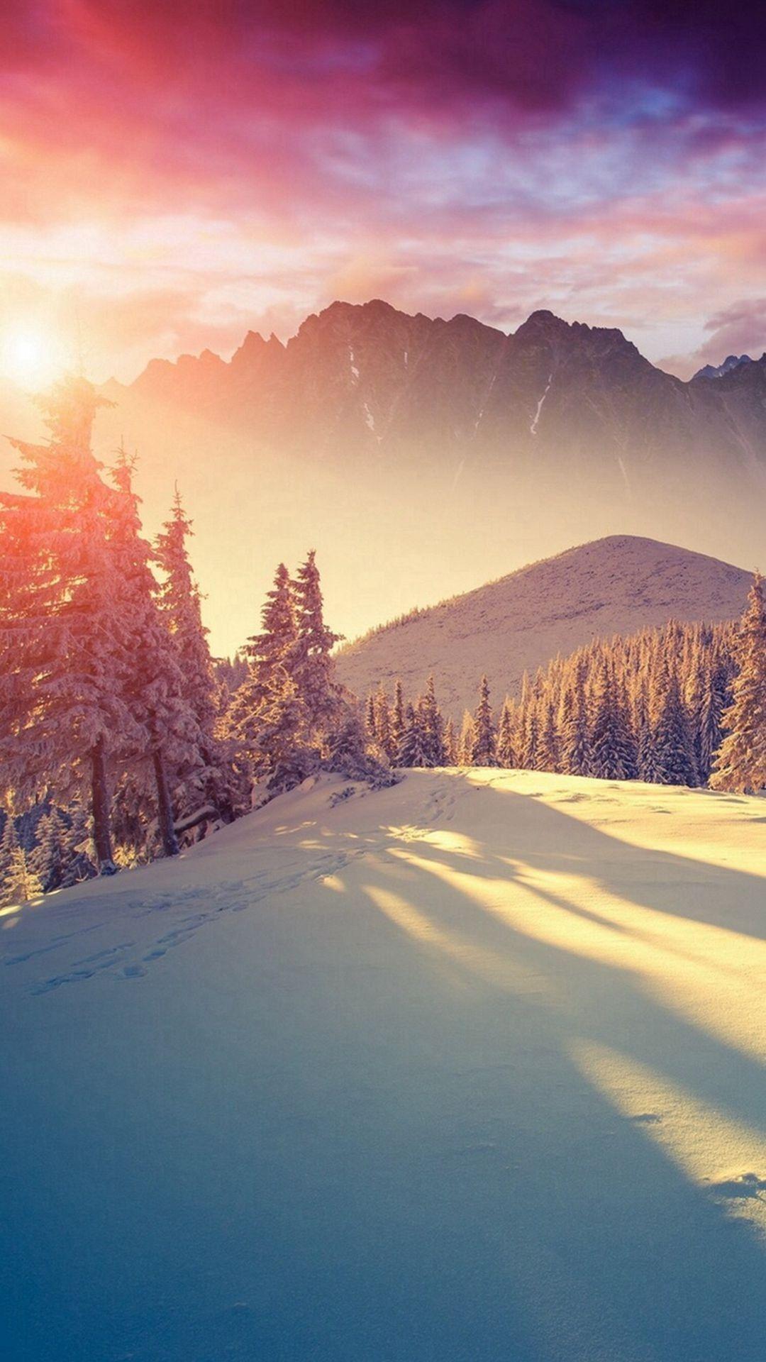 1080x1920 Sun Shining Through Winter Pine Trees iPhone 8 Wallpaper Wallpaper iPhone 8 Wallpaper & Background Download