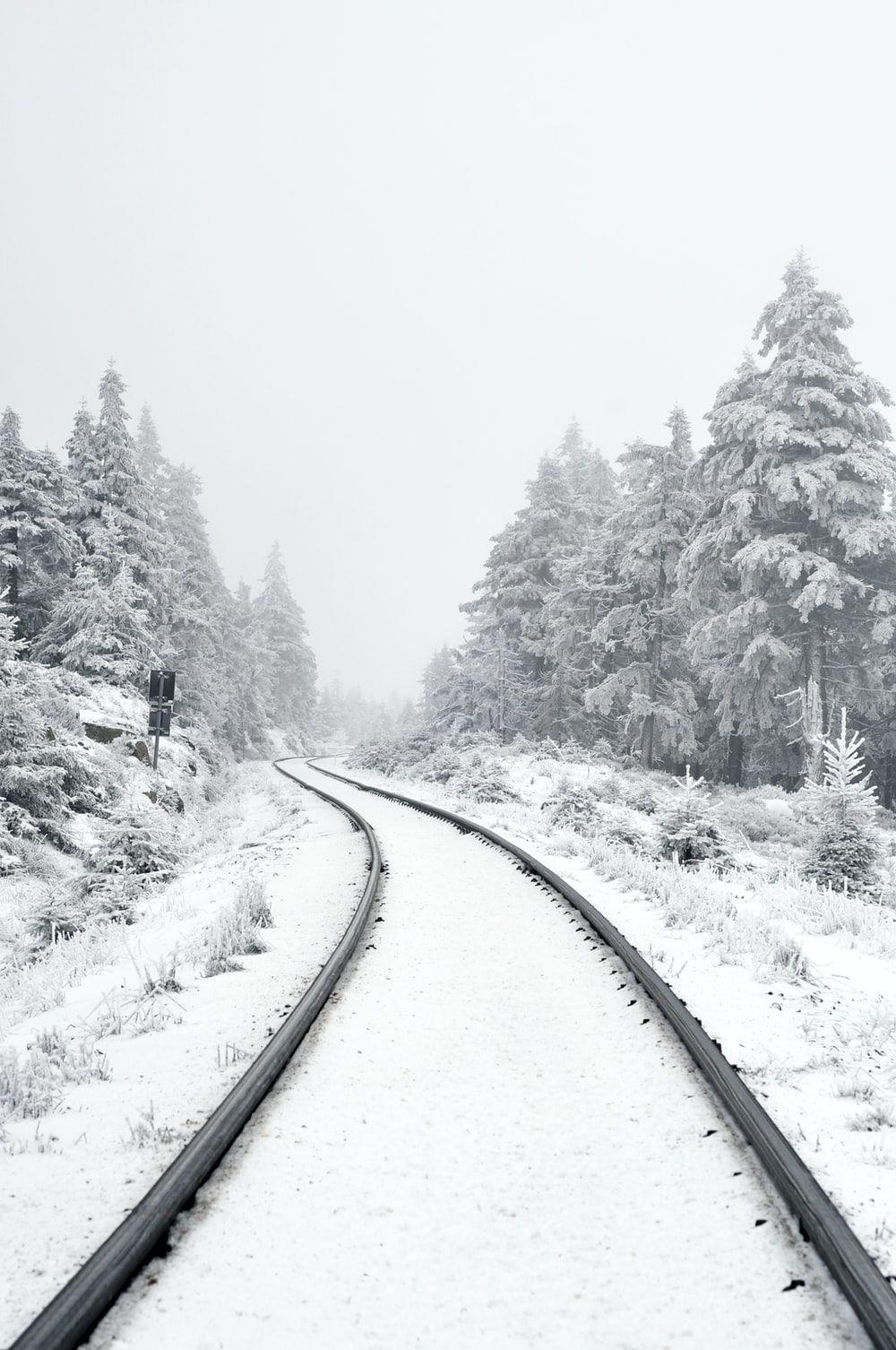 1000x1506 Winter Wallpaper: Free HD Download [HQ]