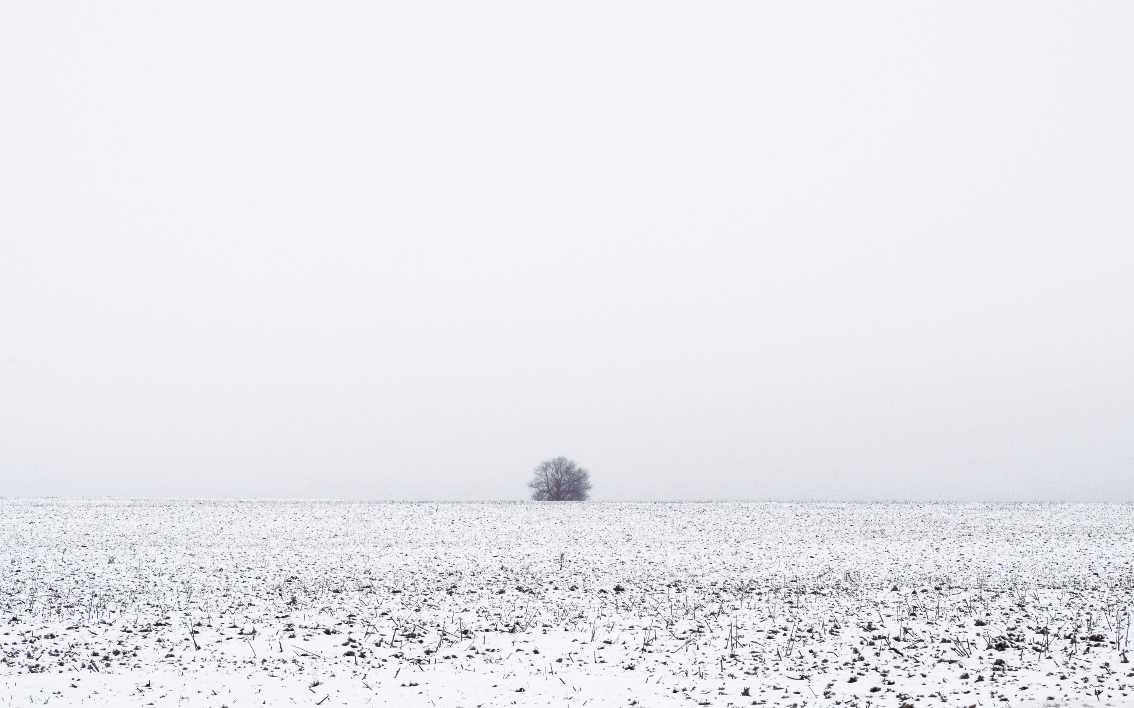 3840x2400 Winter Melancholy Ultra HD Desktop Background Wallpaper for : Multi Display, Dual Monitor : Tablet