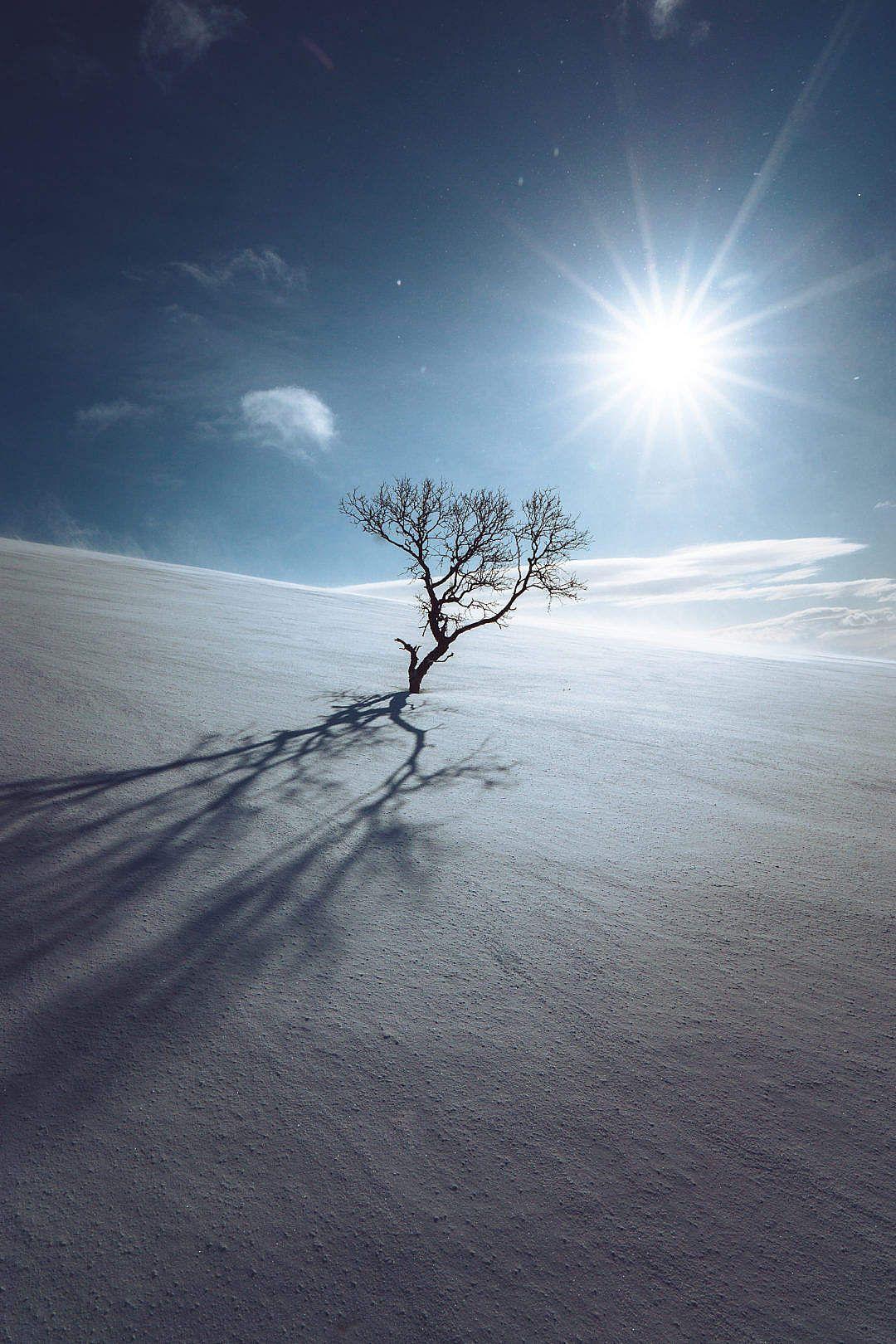 1080x1620 Free Winter & Image