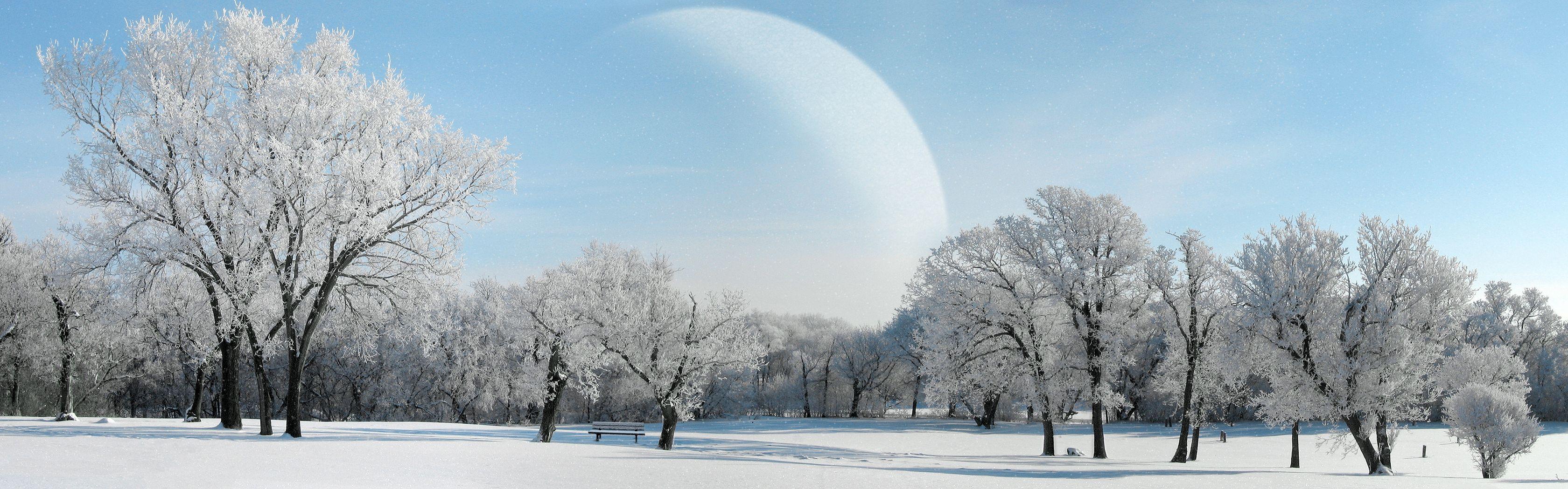3360x1050 Wallpaper Desktop Night Winter Forest HD Wallpaper