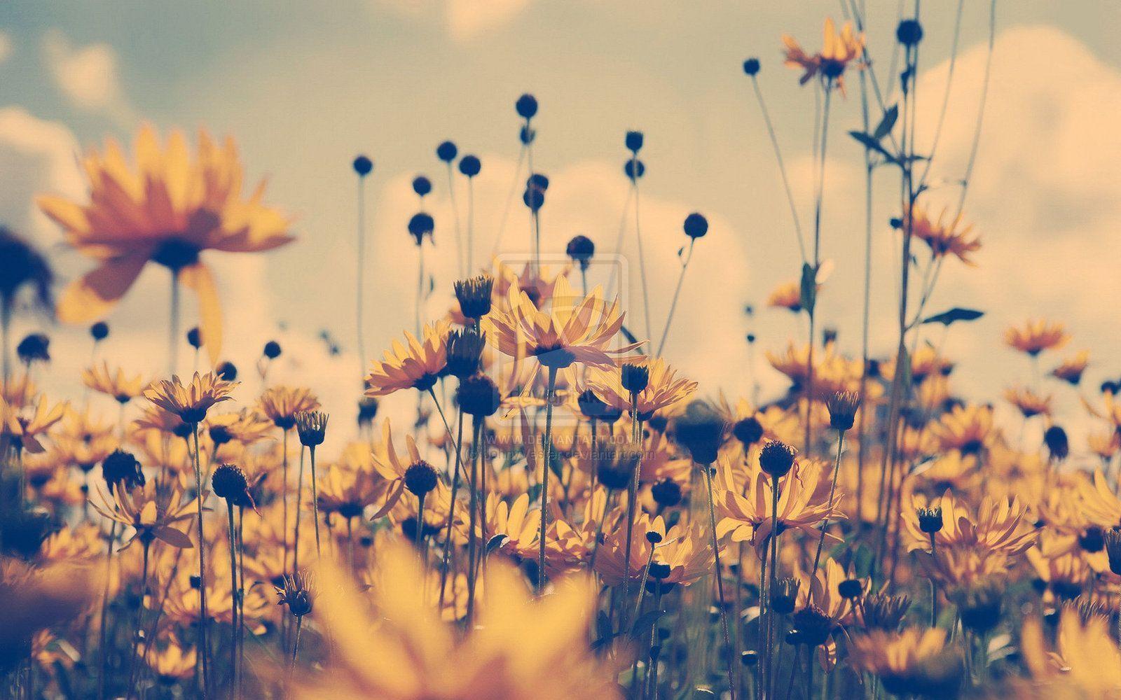 1600x1000 Tumblr Photography Wallpaper