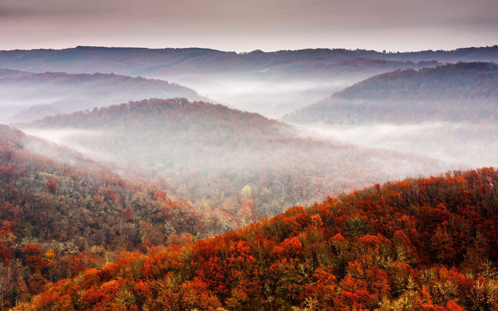 1920x1200 Aesthetic Tumblr Autumn Desktop Wallpaper