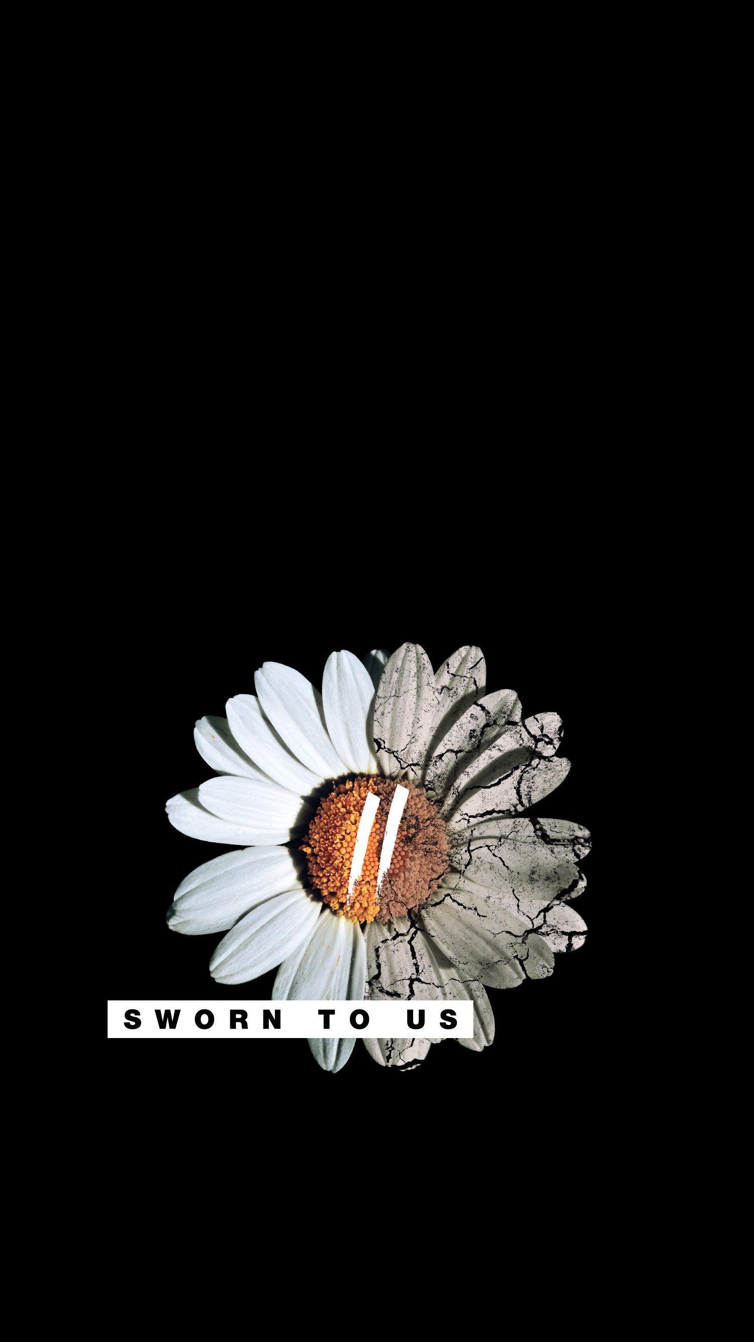 1500x2667 iPhone Wallpaper Memento Mori