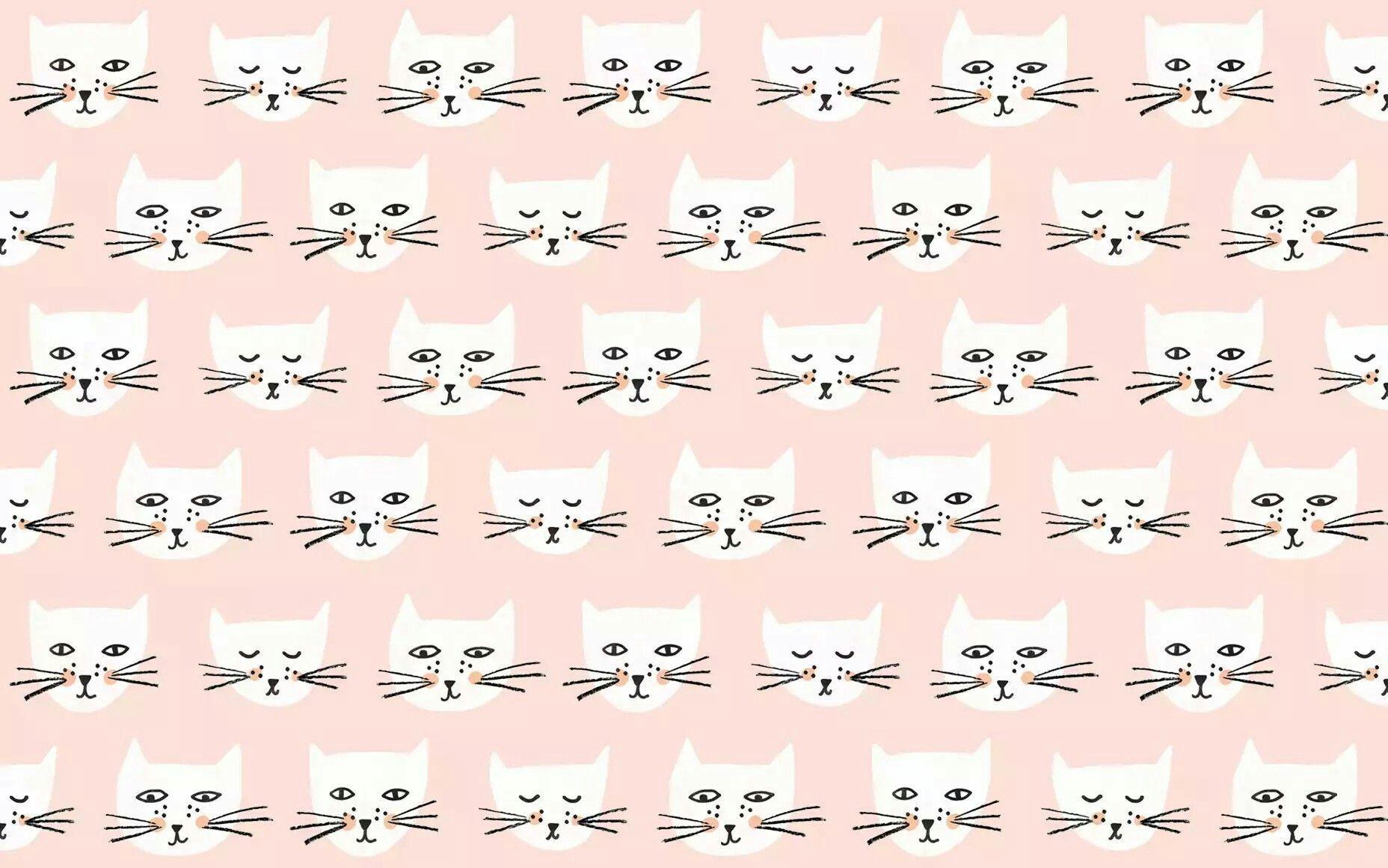 1856x1161 Cat Desktop Wallpaper Aesthetic