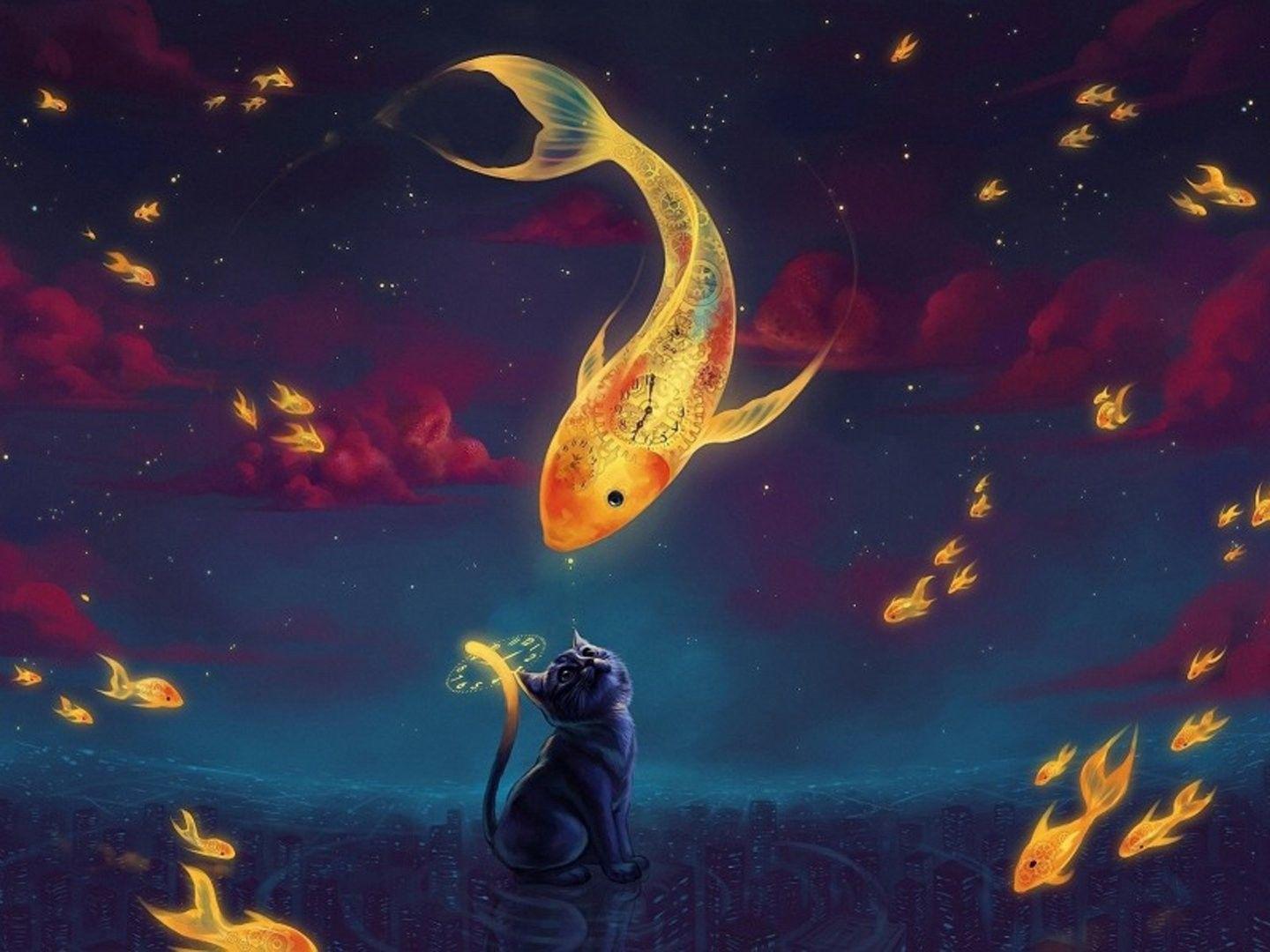 1440x1080 Cat, Animal, Widescreen Desktop Wallpaper, Wallpaper HD Mobile, Fish, fantasy, Windows, Colourful