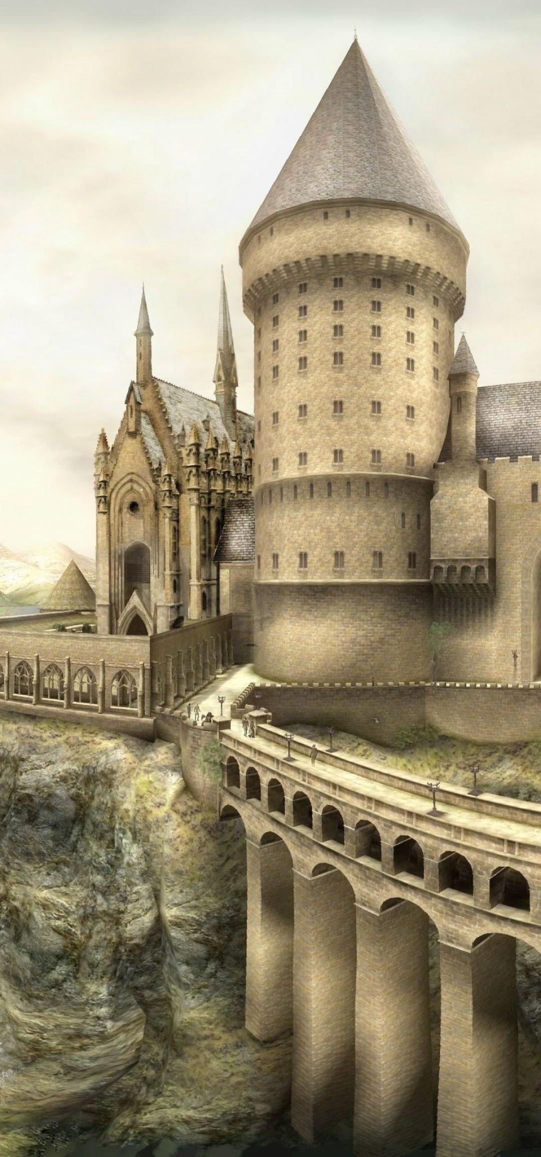 1080x2310 Harry Potter, Hogwarts, Magic School, 3D Model Order Of The Phoenix Wallpaper & Background Download