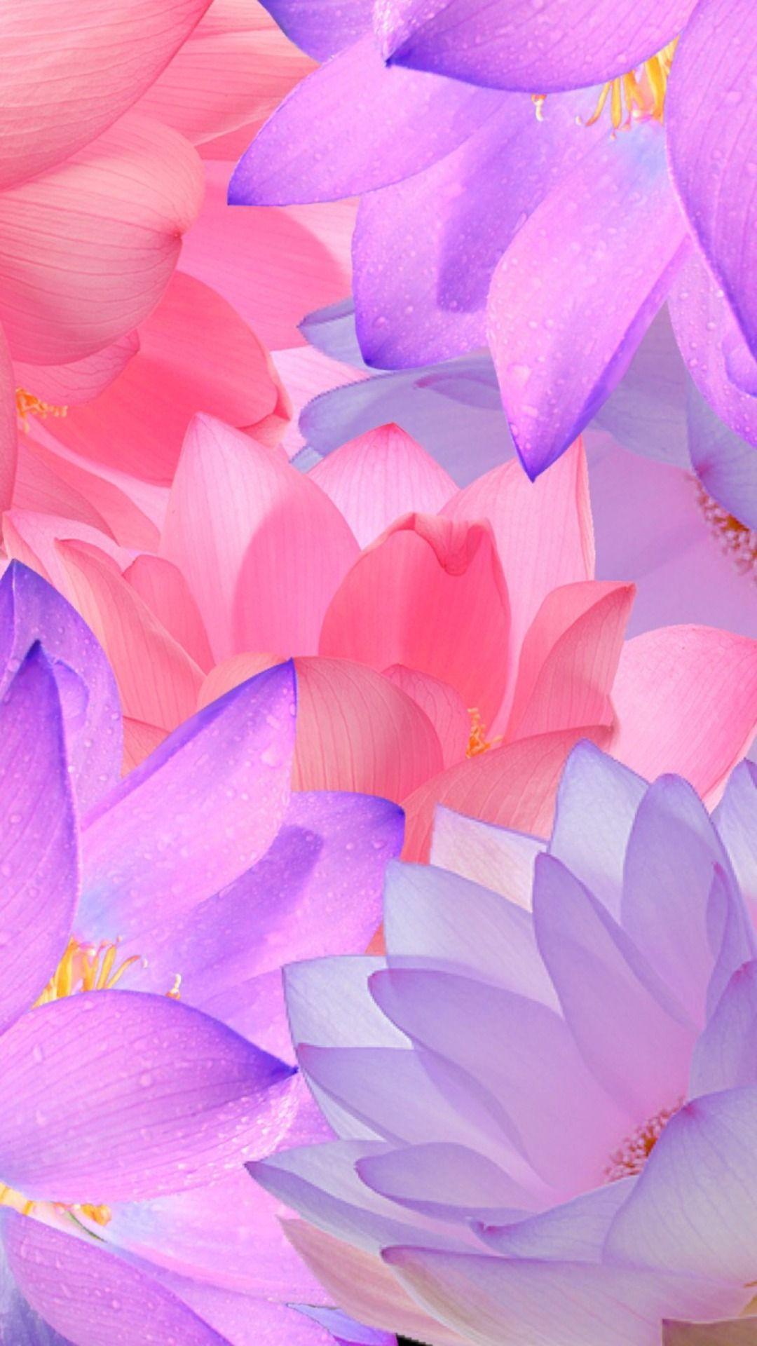 1080x1920 iPhone Wallpaper