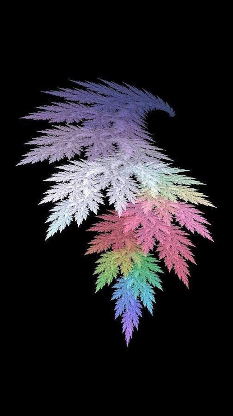 750x1334 iPhone 6 Flower Wallpaper HD Ilove The Darkness Of