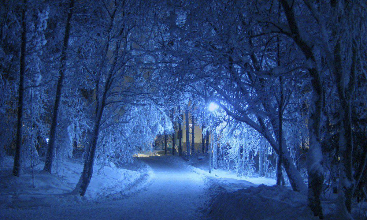 1200x719 HD Wallpaper By:Ville Turkkinen Android-> iPhone-> #trees # blue #road #snow #HDWallpaper #wallpaper