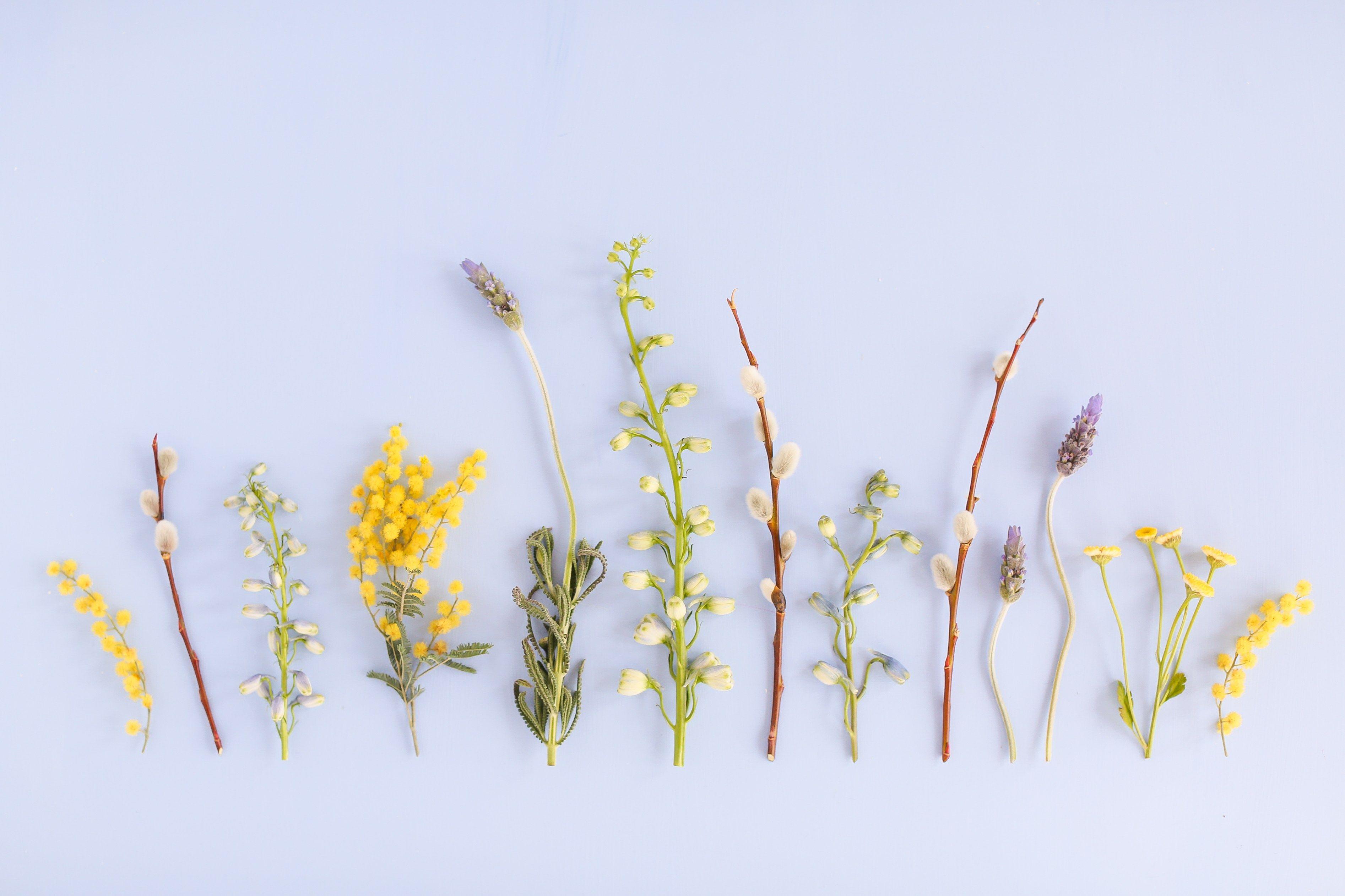 3787x2525 Aesthetic Desktop Wallpaper Summer