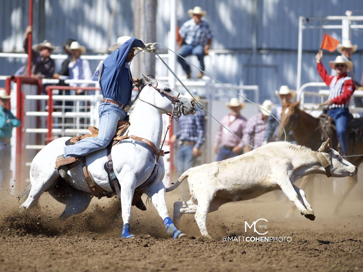 Calf Roping Images Browse 3768 Stock Photos  Vectors Free Download with  Trial  Shutterstock