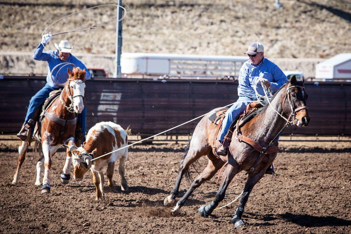 Team Roping Wallpapers - Top Free Team Roping Backgrounds - WallpaperAccess