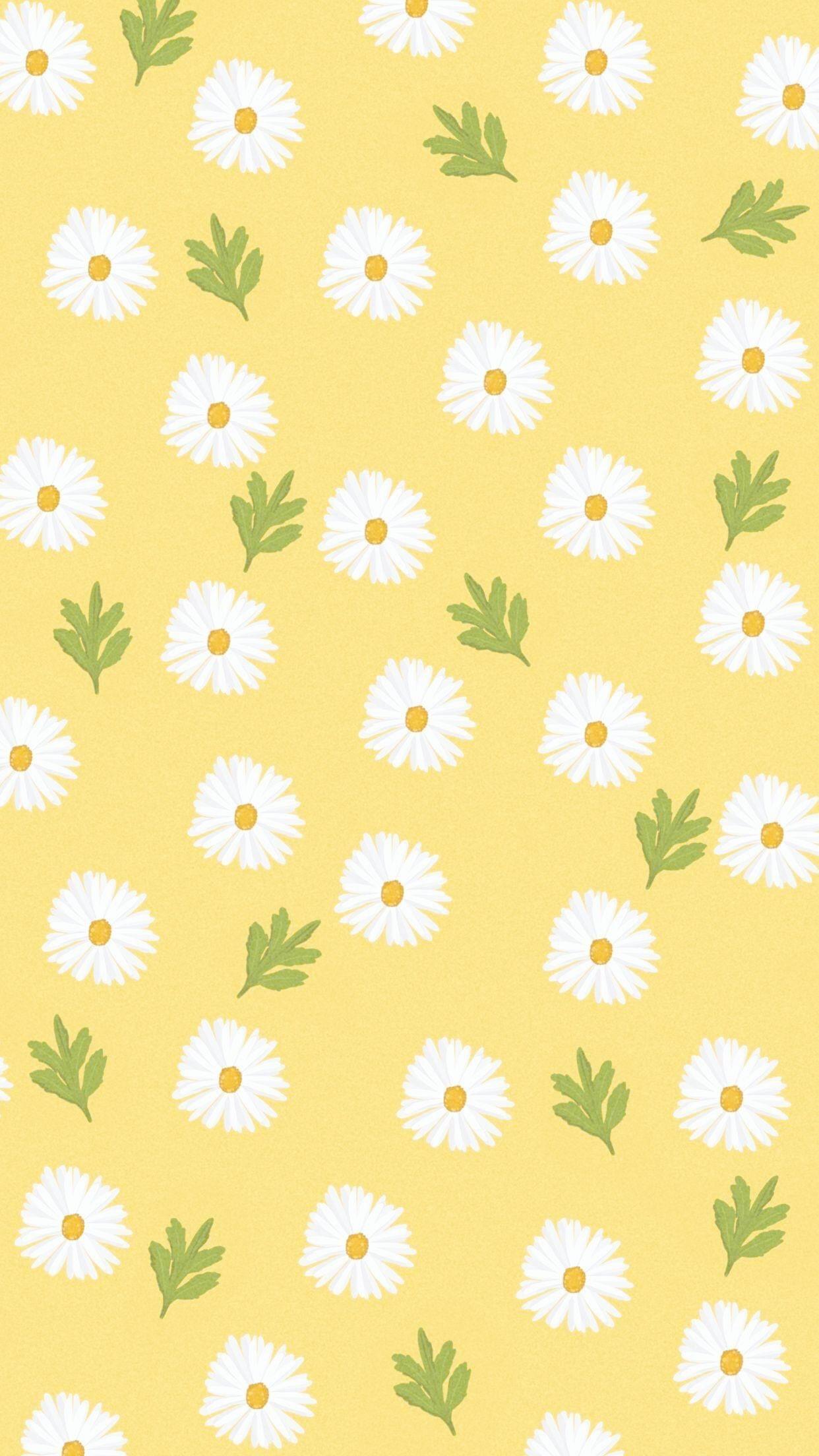 Yellow Flowers Aesthetic Computer Wallpapers - Top Free Yellow Flowers ...