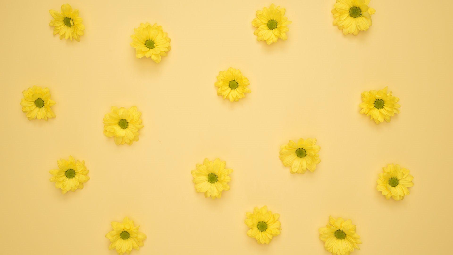 1920x1080 Laptop Yellow Wallpaper Desktop Laptop .novocom.top