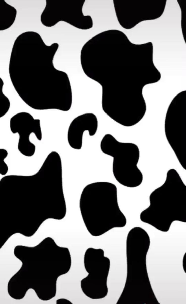 737x1200 Cow wallpaper. Cow print wallpaper, Cow wallpaper, Aesthetic iphone wallpaper