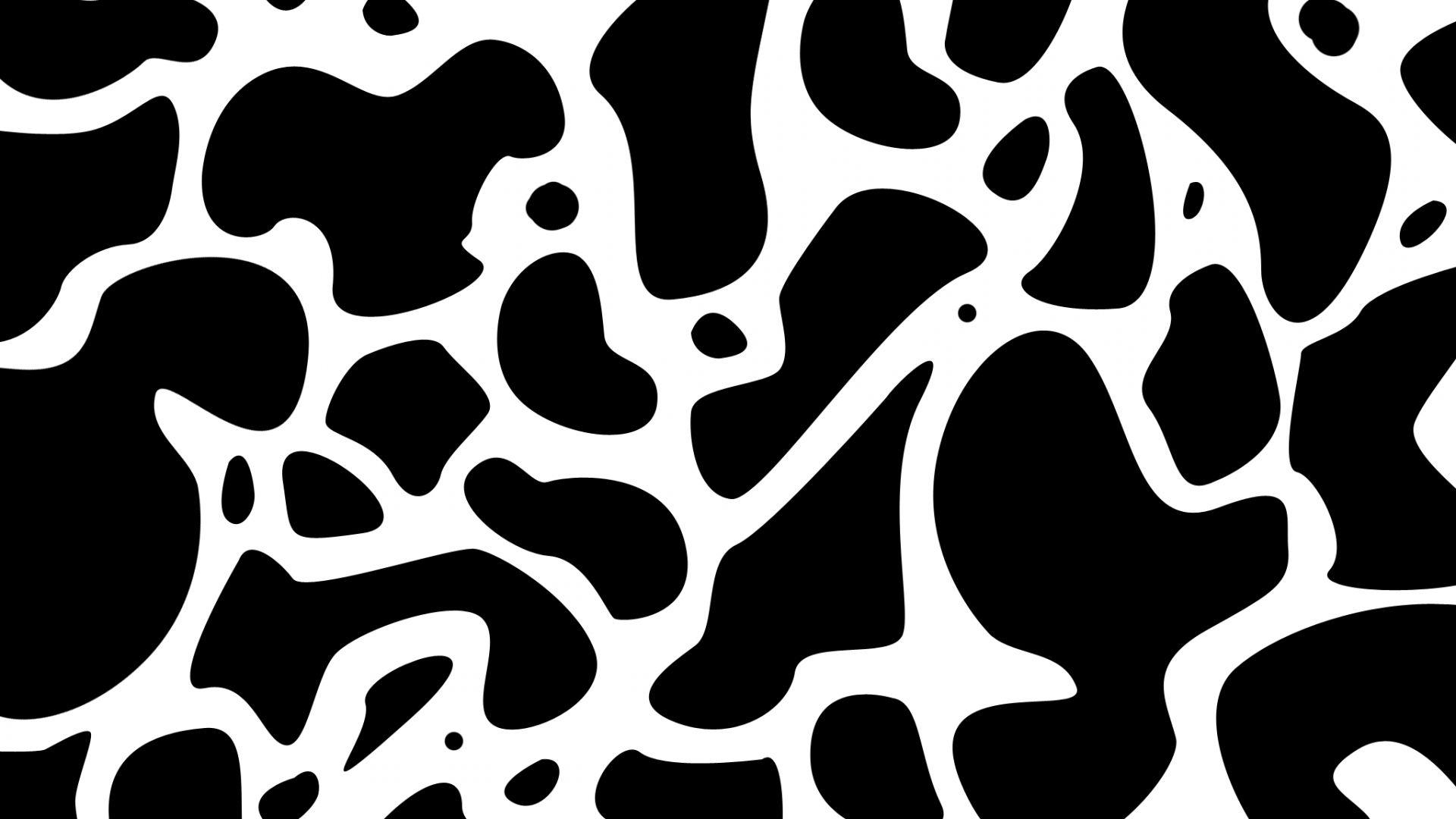 1920x1080 Black And White Cow Print 6 HD Cow Print Wallpaper