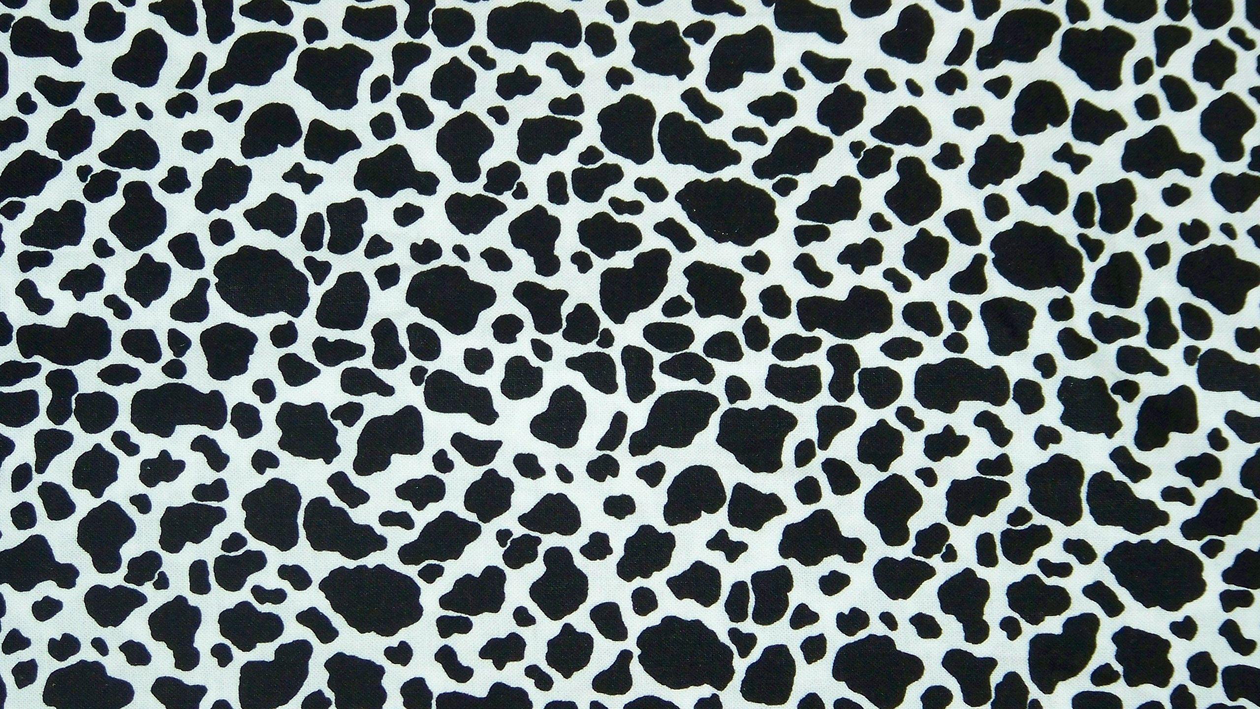 2560x1440 Black And White Cow Print 9 HD Cow .hdwallpaper.in
