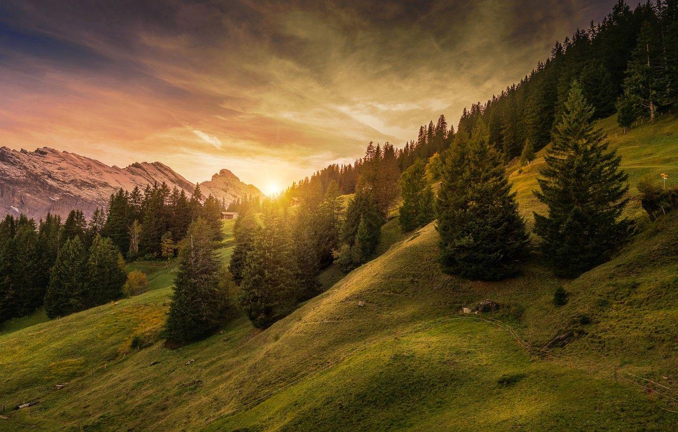 1332x850 Wallpaper forest, the sky, the sun, trees, mountains, Switzerland, slope, Alps, houses, Lauterbrunnen, Mürren image for desktop, section пейзажи
