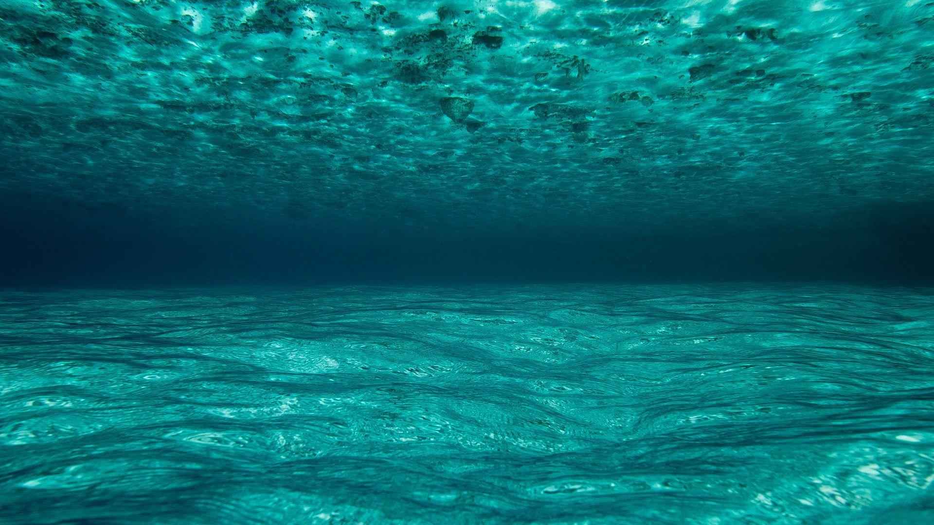 1920X1080 Underwater Wallpapers - Top Free 1920X1080 Underwater ...