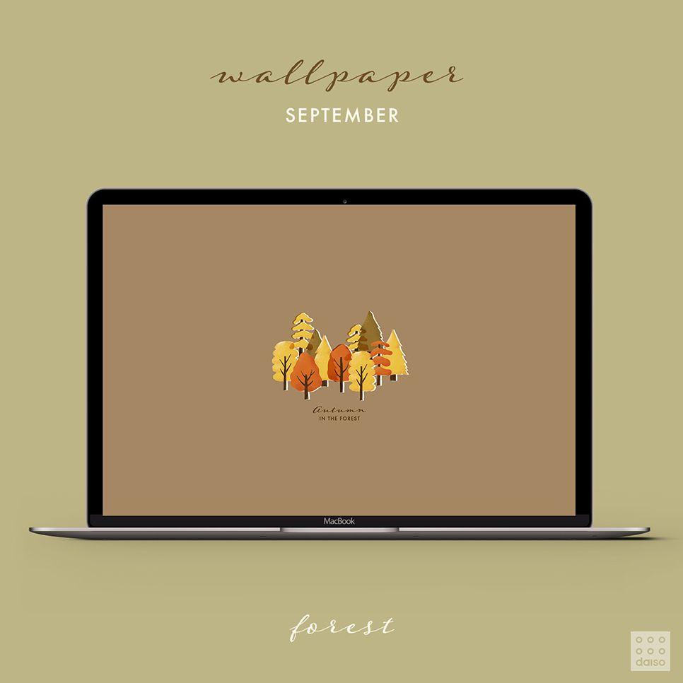 966x966 Daiso Korea's New Wallpaper With Warm Autumn Vibes For Sept