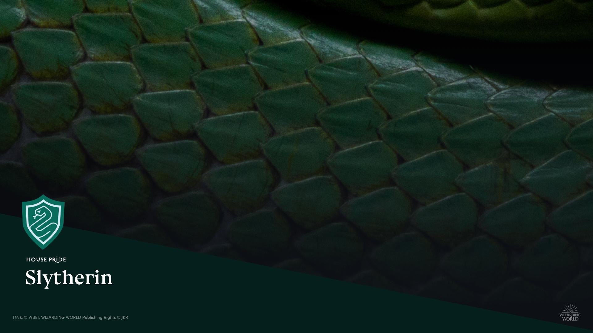 1920x1080 Harry Potter Wallpaper Slytherin HD Wallpaper