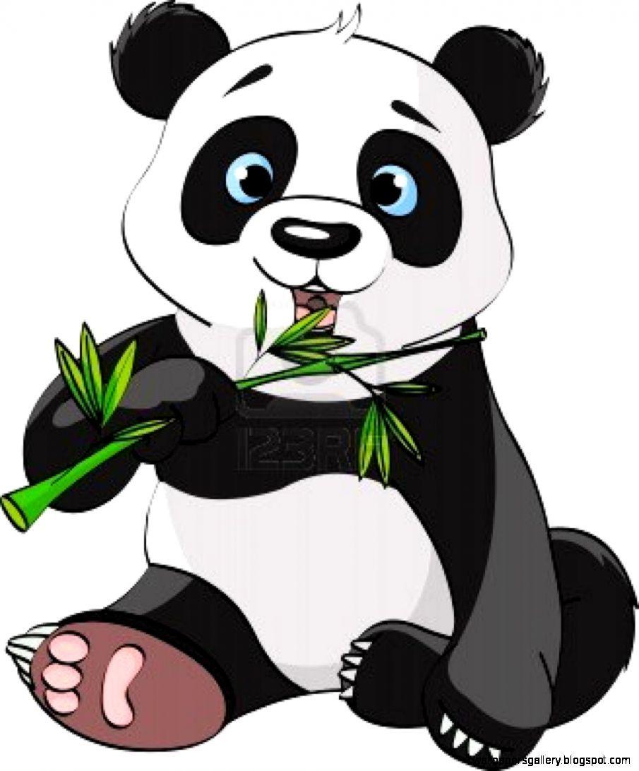 905x1092 Baby Panda Drawing