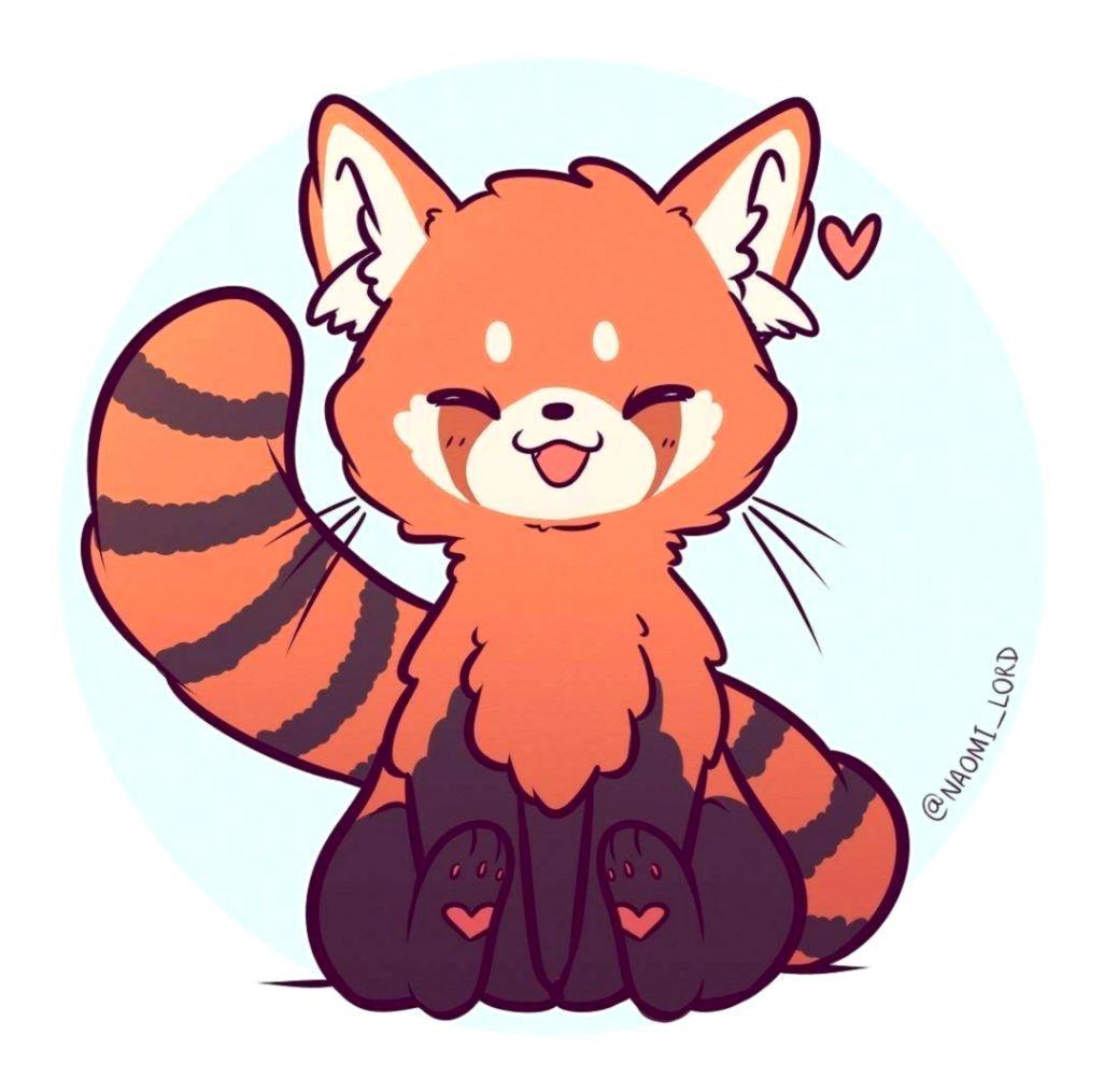 Red Panda Kawaii Wallpapers Top Free Red Panda Kawaii Backgrounds Wallpaperaccess