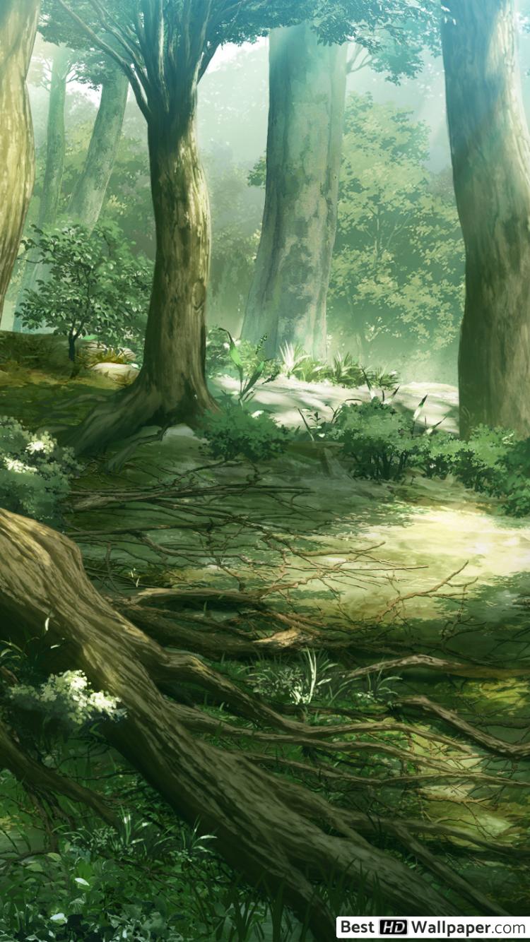 Anime Forest iPhone Wallpapers - Top Free Anime Forest iPhone Backgrounds -  WallpaperAccess