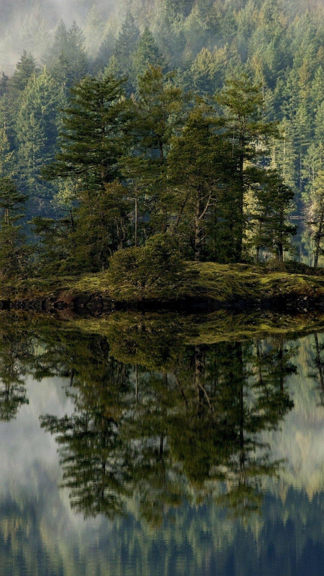 Hình nền HD 1080x1920 Forest dành cho iPhone