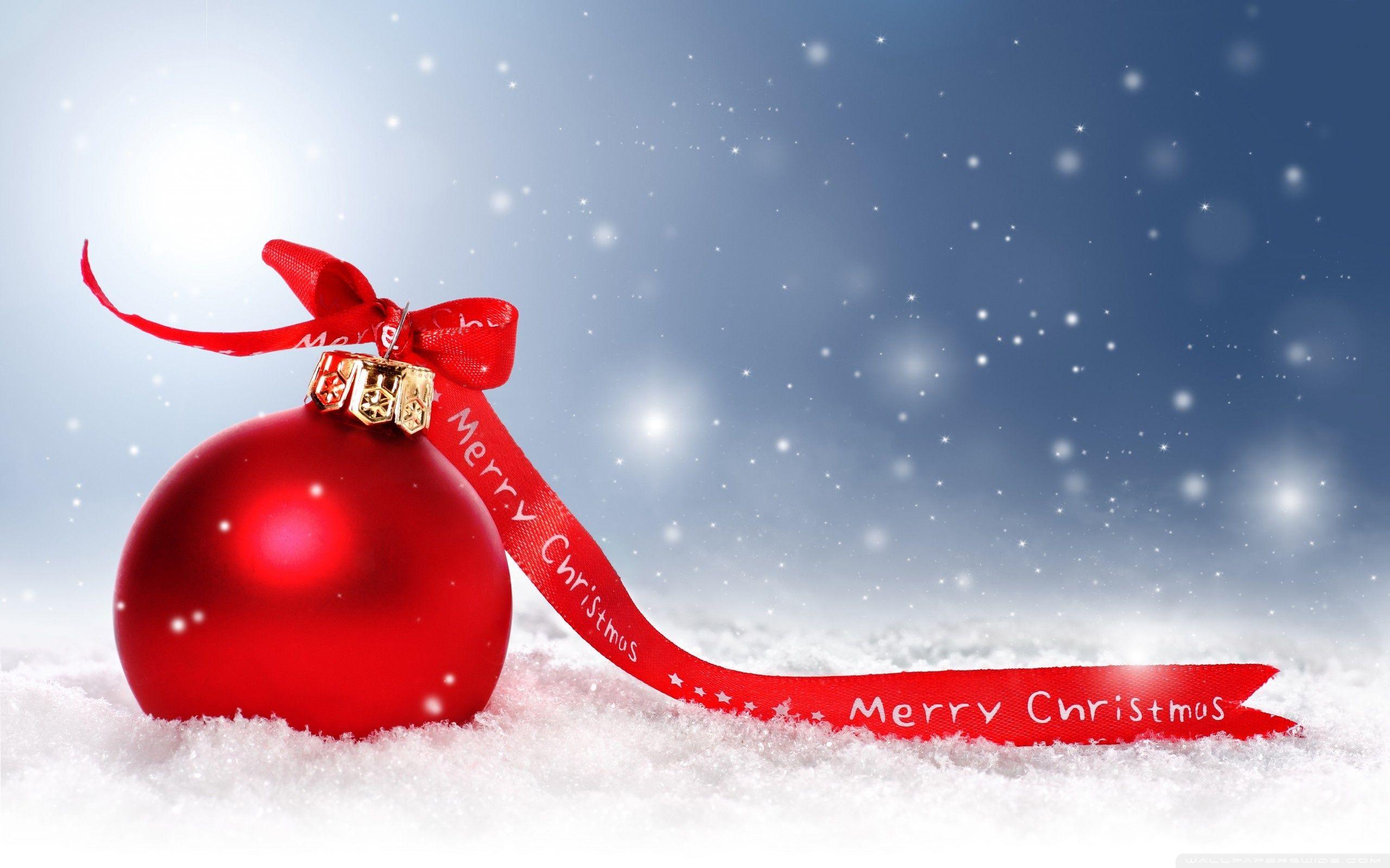 2560x1600 Marry Christmas Wallpaper