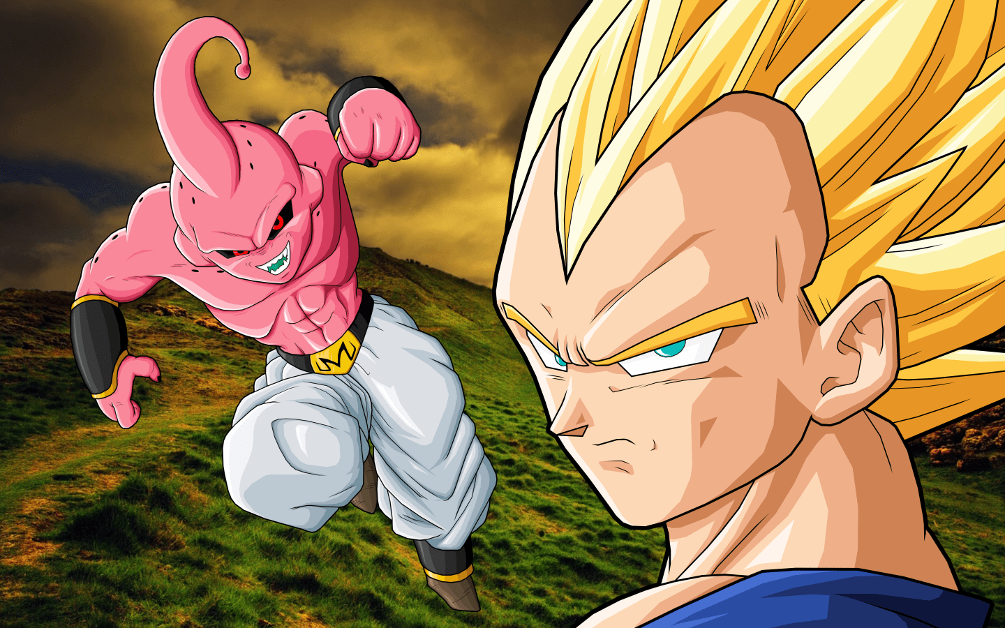 1440x900 Majin Buu HD wallpaper, Background