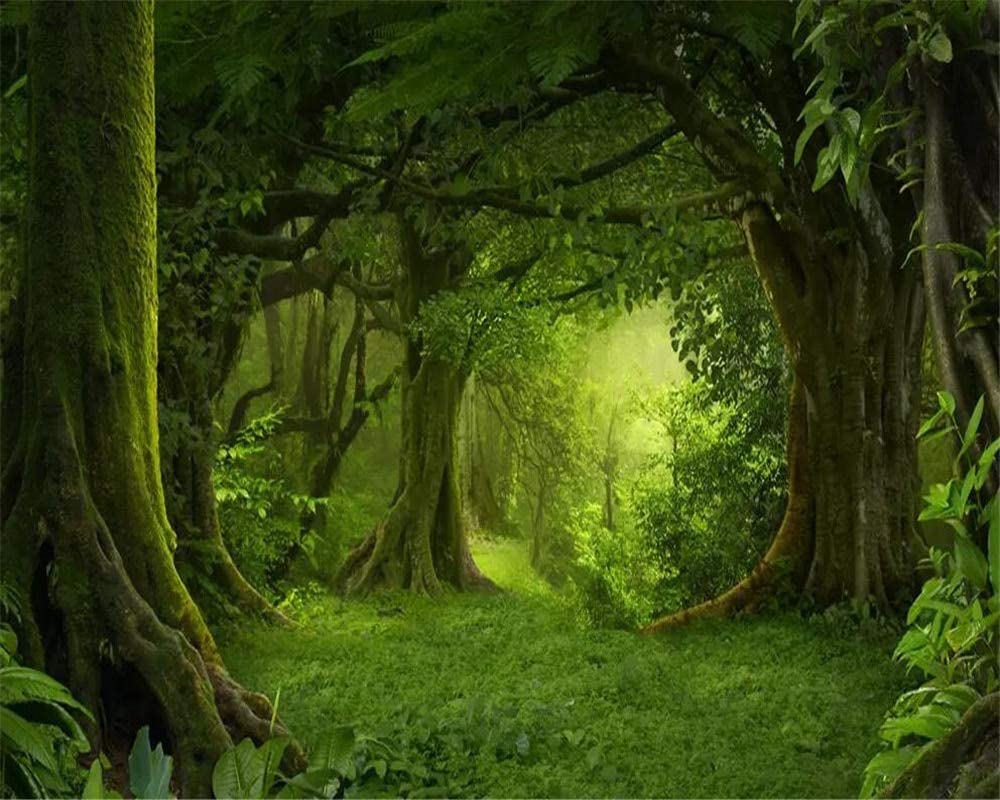 Mysterious Forest Wallpapers - Top Free Mysterious Forest Backgrounds ...